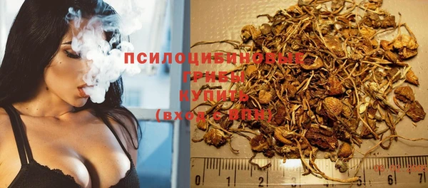 бошки Абдулино